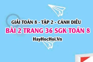 Bài 2 trang 36 Toán 8 Tập 2 Cánh Diều